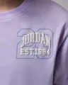 Футболка підліткова Nike JORDAN SECRET GARDEN COLLEGIATE бузкова 45F900-P2W