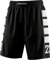 Шорти Nike JORDAN BROOKLYN CAT SCRATCH чорно-білі HV0560-013