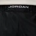 Шорты Nike JORDAN BROOKLYN CAT SCRATCH черно-белые HV0560-013