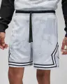 Шорти баскетбольні Nike JORDAN DRI-FIT SPORT DIAMOND SHORTS світло-сіро-біло-чорні DZ0561-043