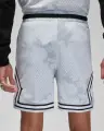 Шорти баскетбольні Nike JORDAN DRI-FIT SPORT DIAMOND SHORTS світло-сіро-біло-чорні DZ0561-043