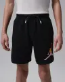 Шорты подростковые Nike JORDAN WORLD TOUR черные 95F797-023