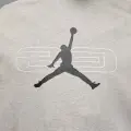 Спортивний костюм Nike JORDAN SPORT CROSSOVER FLEECE сірий HQ8694-084__HQ8699-050