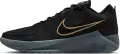 Кросівки баскетбольні Nike LEBRON WITNESS 9 чорно-золоті HQ8034-003