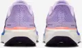Кросівки бігові жіночі Nike AIR ZOOM PEGASUS 41 бузково-синьо-рожеві FD2723-503