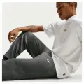 Спортивные штаны Nike PARK 26 FLEECE серые IB1248-071