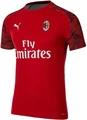 Футболка Puma AC Milan Men's Training Jersey червона 75614101