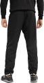 Спортивные штаны Puma CTIVE WOVEN PANTS SRL черные 58673501