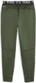 Спортивные штаны Puma TRAIN PWR FLEECE JOGGER зеленые 52089431