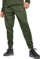 Спортивные штаны Puma TRAIN PWR FLEECE JOGGER зеленые 52089431