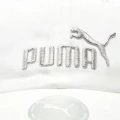 Бейсболка жіноча Puma ESS NO.1 BB CAP біло-срібна 024357-07
