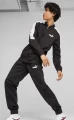 Спортивный костюм Puma BASEBALL TRICOT SUIT черный 67742801