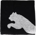 Рушник Puma TEAM TOWEL LARGE чорний 054552-01