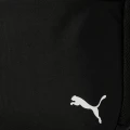 Рюкзак Puma TEAMGOAL BACKPACK CORE 17L чорний 090238-01
