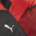 Сумка спортивна Puma TEAMGOAL TEAMBAG 55L червоно-чорна 090233-03