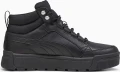Черевики Puma TARRENZ SB III PURETEX чорні 39393001