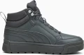 Ботинки Puma TARRENZ SB III темно-серые 39262803