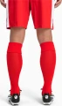 Гетри футбольні Puma TEAM LIGA SOCKS червоні 703438-01