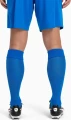 Гетри футбольні Puma TEAM LIGA SOCKS сині 703438-02