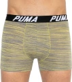 Труси (боксерки) Puma SPACEDYE STRIPE BOXER 2P жовті, сіро-жовті (2 пари) 501002001-020