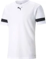 Футболка Puma TEAMRISE JERSEY біла 704932-04