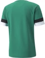 Футболка Puma TEAMRISE JERSEY зелена 704932-05