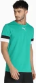 Футболка Puma TEAMRISE JERSEY зелена 704932-05