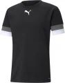 Футболка Puma TEAMRISE JERSEY чорна 704932-03