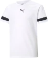 Футболка дитяча Puma TEAMRISE JERSEY JR біла 704938-04