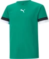 Футболка дитяча Puma TEAMRISE JERSEY JR зелена 704938-05
