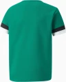 Футболка дитяча Puma TEAMRISE JERSEY JR зелена 704938-05