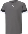 Футболка дитяча Puma TEAMRISE JERSEY JR сіра 704938-13