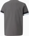 Футболка дитяча Puma TEAMRISE JERSEY JR сіра 704938-13