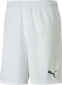 Шорти Puma TEAMGOAL 23 KNIT SHORTS білі 704262-04