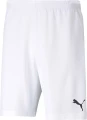 Шорти Puma TEAMRISE SHORT білі 704942-03