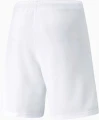Шорти Puma TEAMRISE SHORT білі 704942-03