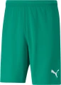 Шорти Puma TEAMRISE SHORT зелені 704942-05