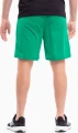 Шорти Puma TEAMRISE SHORT зелені 704942-05
