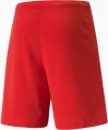 Шорти Puma TEAMRISE SHORT червоні 704942-01