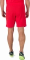 Шорти Puma TEAMRISE SHORT червоні 704942-01