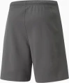 Шорти Puma TEAMRISE SHORT сірі 704942-13