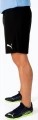 Шорти Puma TEAMRISE SHORT чорні 704942-04