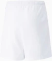 Шорти дитячі Puma TEAMRISE SHORT JR білі 704943-03