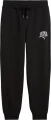 Спортивні штани жіночі Puma CLASS COMFORT чорні 68503701