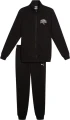 Спортивный костюм Puma CLASS черный 68485401