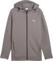 Толстовка Puma EVOSTRIPE сіра 68461379
