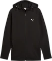 Толстовка Puma EVOSTRIPE чорна 68461301