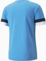 Футболка Puma TEAMRISE JERSEY голубая 704932-18