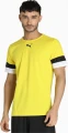 Футболка Puma TEAMRISE JERSEY желтая 704932-07