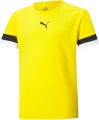 Футболка дитяча Puma TEAMRISE JERSEY JR жовта 704938-07